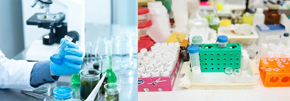 application application